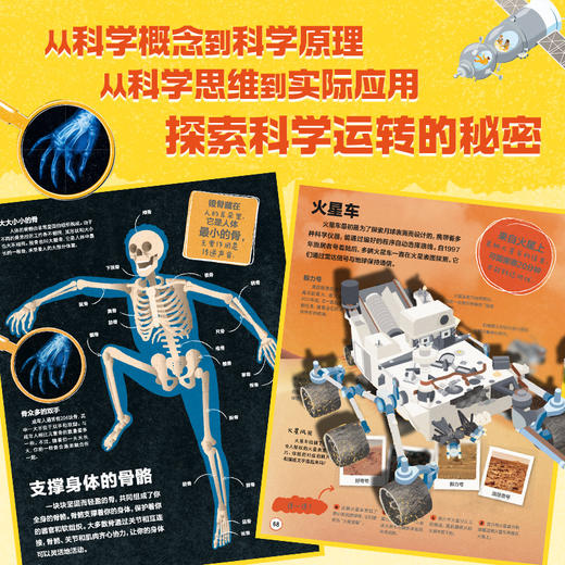 《DK玩出超强科学脑》全6册 商品图4
