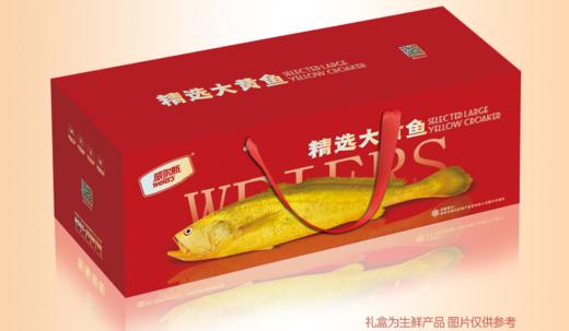 【门店同款】三都澳大黄鱼（540g*2/提） 商品图0