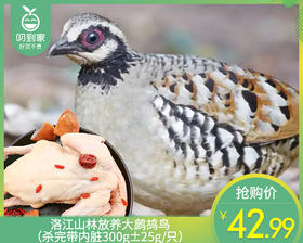 洛江山林放养大鹧鸪鸟（杀完带内脏300g±25g/只）