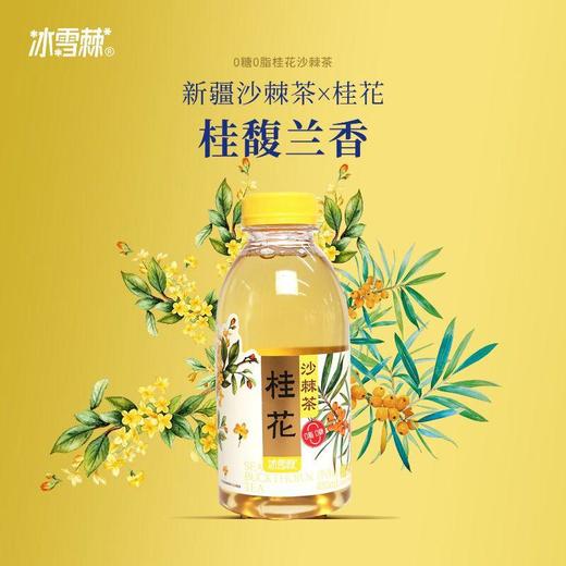 冰雪棘桂花沙棘茶植物饮料450ml 商品图0