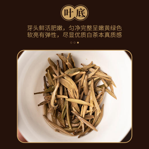 【定年】八年陈福鼎白毫银针38g 商品图4