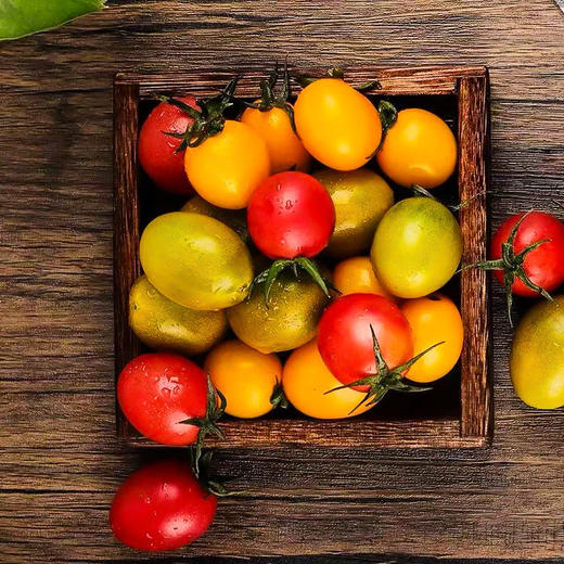 三色小番茄 商品图1