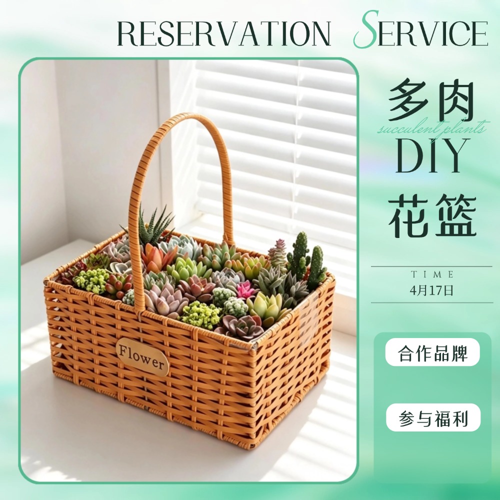 *【奥莱专场预热沙龙活动】多肉DIY花篮