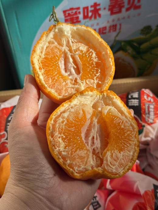 山地蜜味·耙耙柑 商品图3