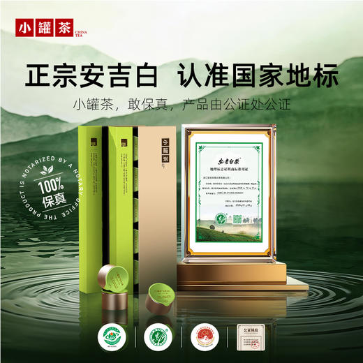 【2026春茶】小罐茶·金罐系列·安吉白茶10罐装【现货】 商品图4