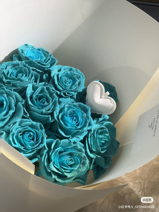 厄瓜多尔-【Velvet Turquoise】绿松石毛绒 商品图1