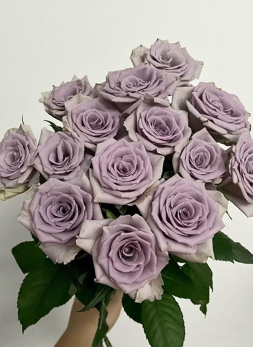 灰色单头玫瑰20枝 商品图1