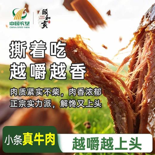 【颐和贡】手撕牛肉干 500g&100g 小条真牛肉 越嚼越上头 商品图3