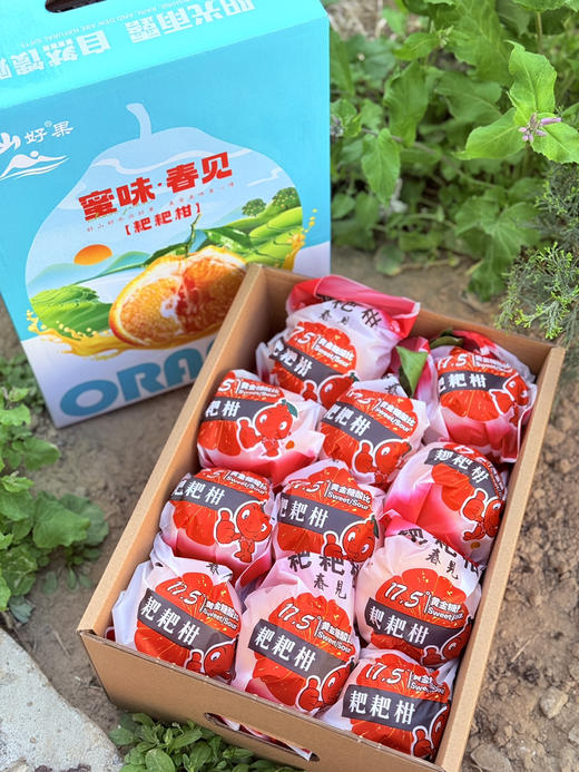 山地蜜味·耙耙柑 商品图7