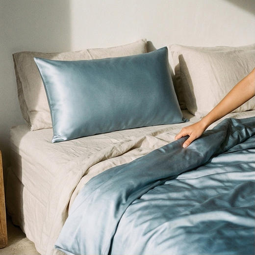 一对装|SANGLUO桑罗玻尿酸枕套枕巾桑蚕丝绸枕套（买一对送随机眼罩1只）02024401 商品图9