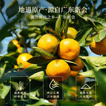 杰盈新会老陈皮养生茶 广东天马老陈皮礼盒装250g年货礼盒 /水饮冲调 /茗茶 /陈皮/柑普茶 商品图6