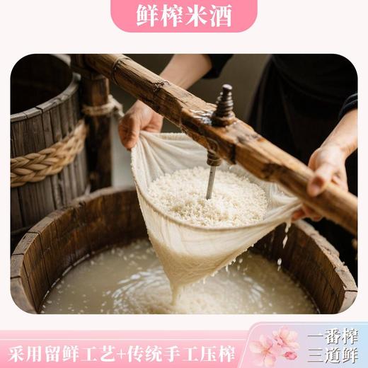 红动750ml甄选樱花米酒 商品图4