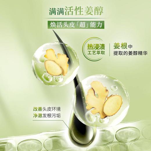 施华蔻生姜精华洗发露 商品图5
