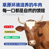 【乳酸菌发酵】蒙味传奇 风干牛肉干原味100g*2袋 商品缩略图2