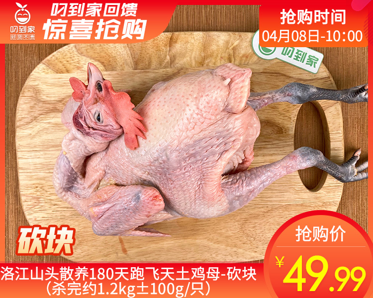 洛江山头散养180天跑飞天土鸡母-砍块（杀完约1.2kg±100g/只）