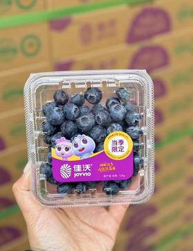 佳沃14+花香蓝莓