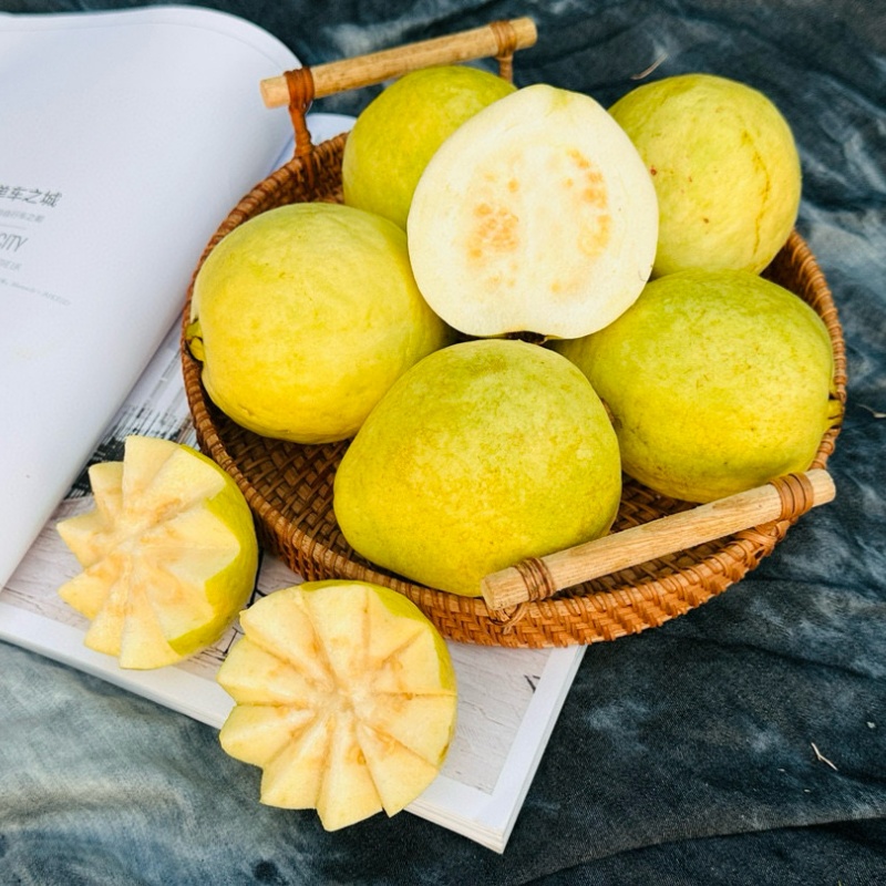 广西芭乐  软糯香甜·