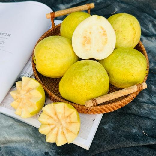 广西芭乐  软糯香甜· 商品图0