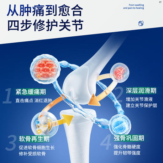 Vinsic超级关节复合片 商品图3