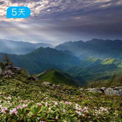 秦岭轻徒步24公里｜不走野线合法穿越 用徒步探寻华夏龙脉 5日 商品图0
