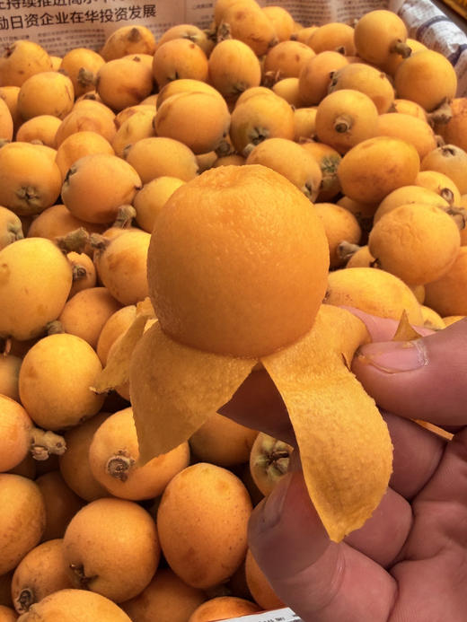 高山枇杷  皮薄肉厚 汁水爆棚 清甜不腻 甜中带微酸 商品图5
