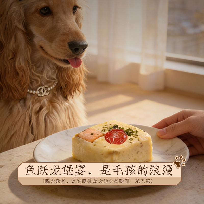 尾巴先生自制狗粮饭湿粮泰迪金毛柯基狗狗零食拌饭三文鱼鲜食营养