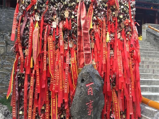 4.11日周六【情定潭柘寺】百名单身相聚千年古刹-潭柘寺赏花求缘 商品图5