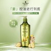 施华蔻生姜精华洗发露 商品缩略图0