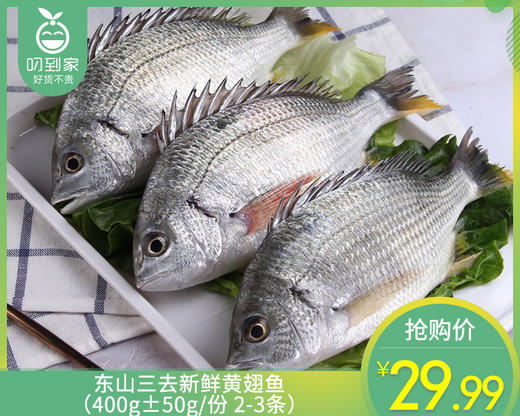 东山三去新鲜黄翅鱼（400g±50g/份 2-3条） 商品图0