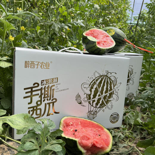 石家庄优选仓库速达，山东冰激凌手撕小西瓜，可以徒手剥皮，皮薄且脆，吊瓜种植，净重5.2斤左右/2枚礼盒装 商品图4