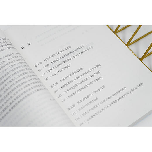 数字时代司法制度的体系化建构 张杰 法律出版社 商品图3