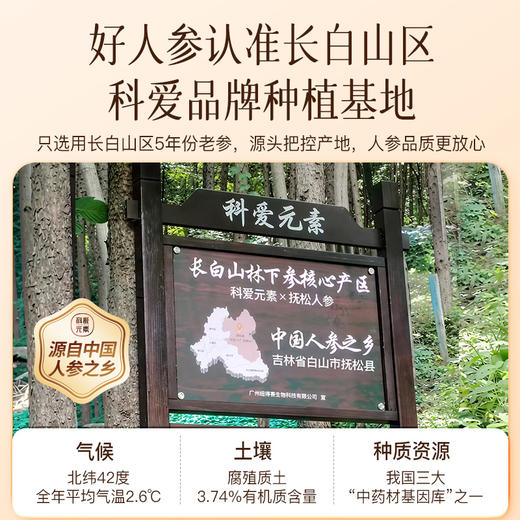 科爱元素揉腹仪打卡奖励-参姜厚朴精华油（限购一件） 商品图7