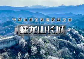 1日｜蟠龙山长城｜气吞山河之势的残缺之美の漫山遍野的山杏花盛放