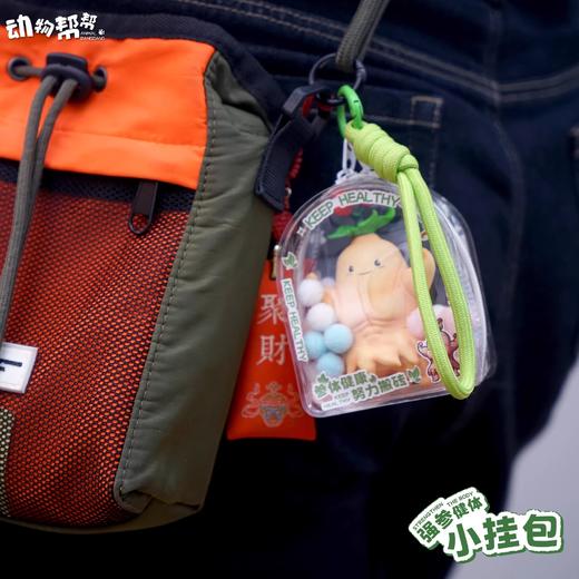 参体健康 小挂包 趣味谐音梗挂饰钥匙扣包配件 可爱周边潮玩 ★动物帮帮农场 官方正品 商品图3