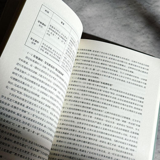 班级赋能学科实践 谭鹏飞 理想智库丛书 商品图10