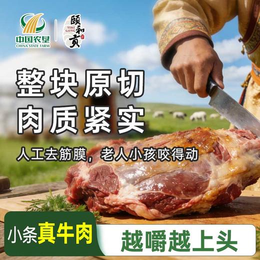 【颐和贡】手撕牛肉干 500g&100g 小条真牛肉 越嚼越上头 商品图2