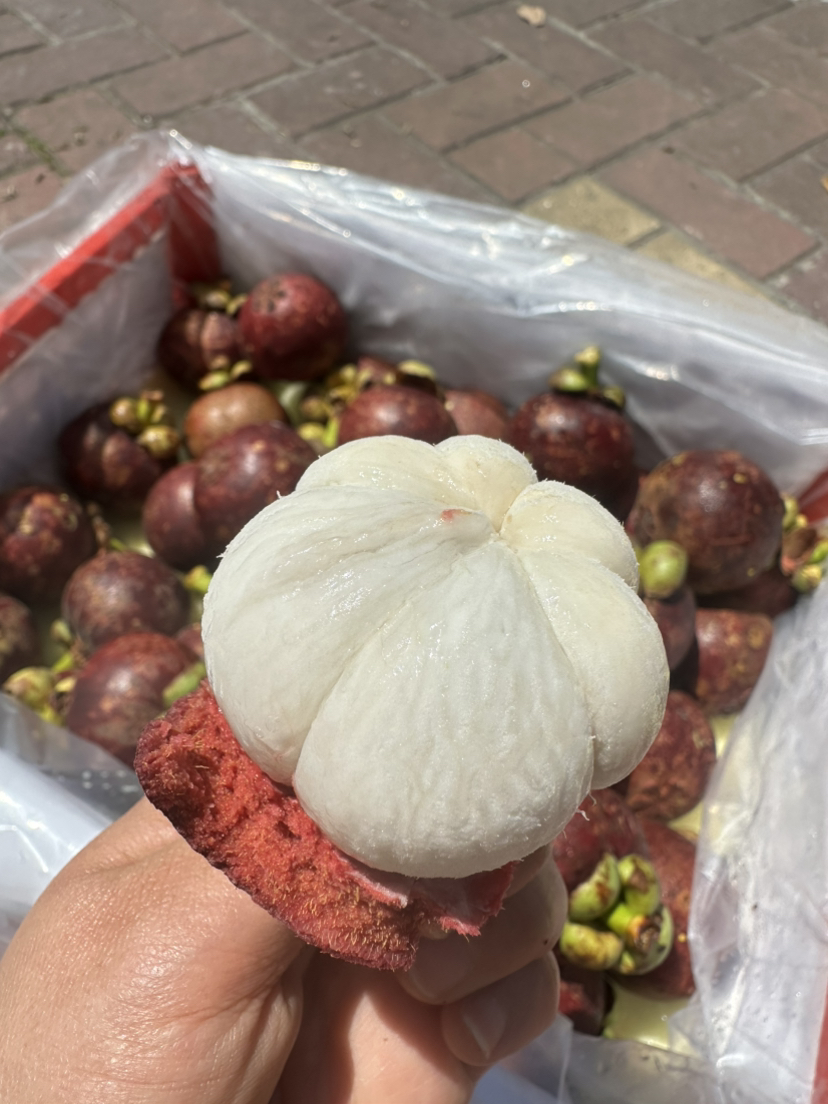 泰国空运山竹 7A大果