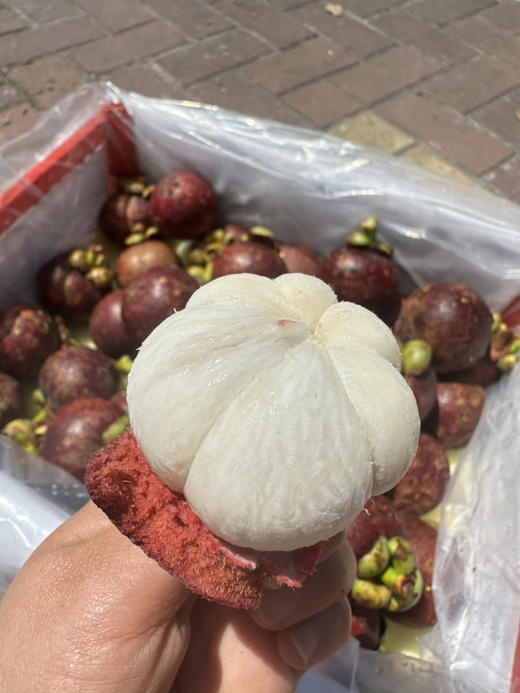 泰国空运山竹 7A大果 商品图0