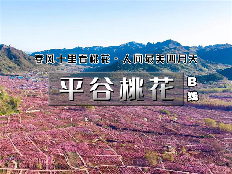 【平谷桃花+丫髻山1日】｜人间最美四月天-春风十里看桃花の近畿福地丫髻山