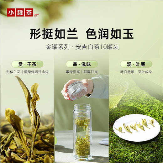 【2026春茶】小罐茶·金罐系列·安吉白茶10罐装【现货】 商品图2