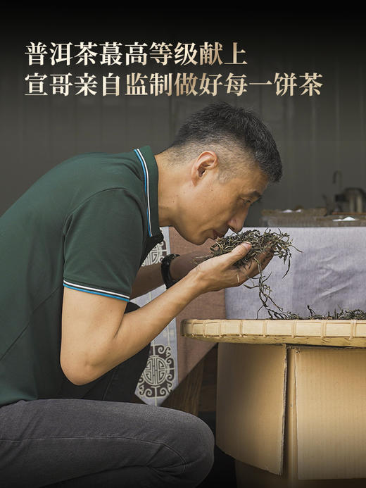 【预订最后2提！即将截单】【白猴山高杆】2026年白猴山2号、3号特大高杆古树发烧茶友高端圈的传说 一口肾上腺素飙升100克/饼5饼/提 拍3发4拍5发7 商品图2