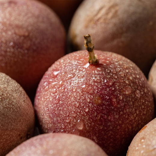 蜜桃百香果（微带果酸）丨颠覆认知的紫皮百香果，风味汁水都足，微带果酸。可以用吸管喝的百香果，香气依旧很足⭐️顺丰快递 商品图2