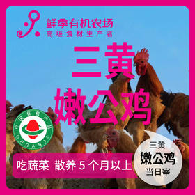 有机嫩公鸡三黄  吃蔬菜/吃粮食/散养/当日屠宰/空运