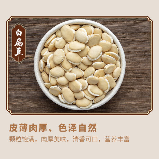 小儿肥儿汤 商品图6