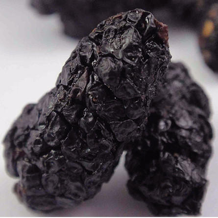 金桑庄园 有机桑葚干 商品图3