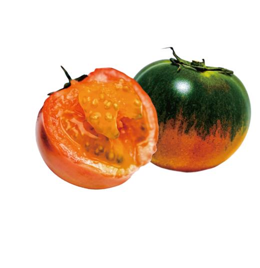 【自营】“许多好柿” 正宗碱地草莓西红柿 精选一级果5斤精品礼盒装 商品图6