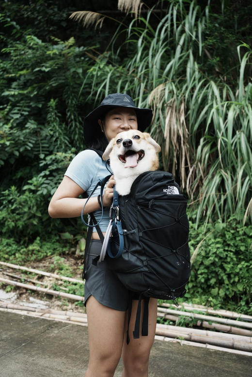 官w近2000❗️纯元。北面BOREALIS系列男女款双肩背包28L（售后时间：签收3天内，不合适及时申请） 商品图9