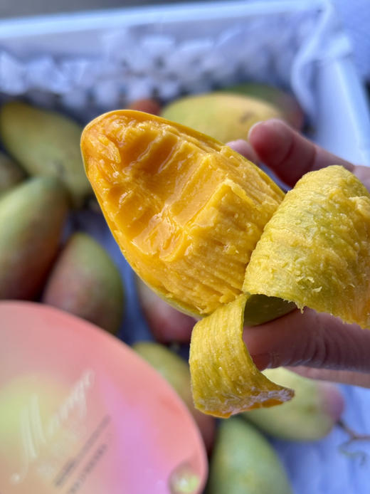 海南蜜香妃芒果 商品图0