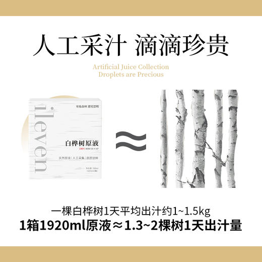 ⁴现货【玻璃瓶装】大兴安岭头茬白桦树汁原液 配料只有白桦树原汁 330ml*6瓶/箱YC04-CR-YKSC【白桦树采汁】 商品图2