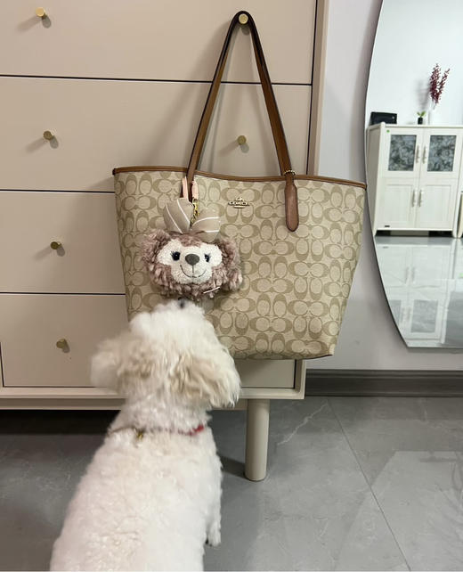 代购级 蔻驰𝗰𝗼𝗮𝗰.𝗵 𝗰𝗶𝘁𝘆𝟯𝟯托特购物袋 商品图5